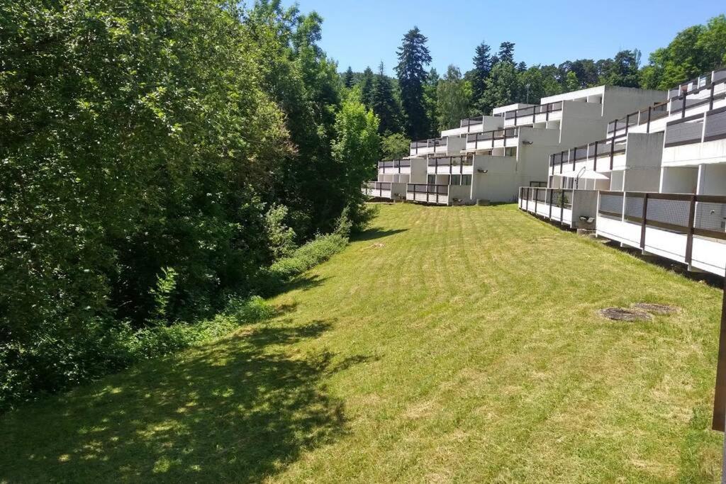 Studio Au Coeur Des Volcans D Auvergne - Murol Buitenkant foto